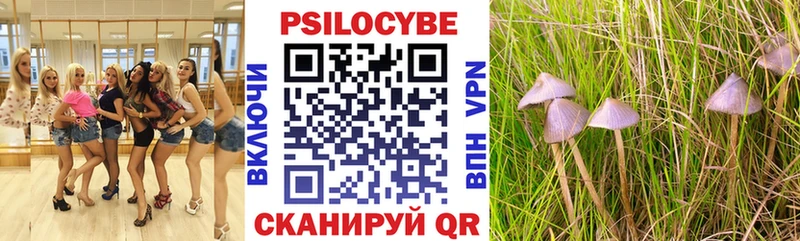 Галлюциногенные грибы Psilocybine cubensis  купить   Нерюнгри 