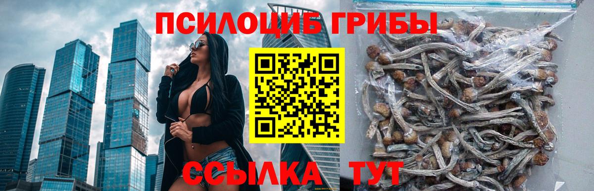 Псилоцибиновые грибы мухоморы  Вход с VPN  Галлюциногенные грибы GOLDEN TEACHER  Нерюнгри 